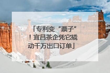 专利变“票子”！宜昌茶企凭它撬动千万出口订单