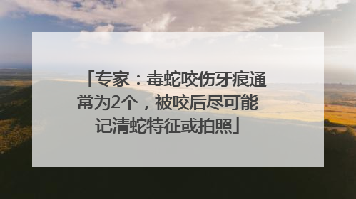 专家：毒蛇咬伤牙痕通常为2个，被咬后尽可能记清蛇特征或拍照