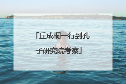丘成桐一行到孔子研究院考察