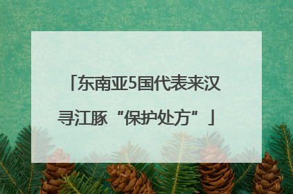 东南亚5国代表来汉寻江豚“保护处方”