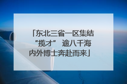 东北三省一区集结“揽才” 逾八千海内外博士奔赴而来