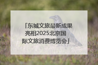 东城文旅最新成果亮相2025北京国际文旅消费博览会