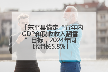 东平县锚定“五年内GDP和税收收入翻番”目标，2024年同比增长5.8%