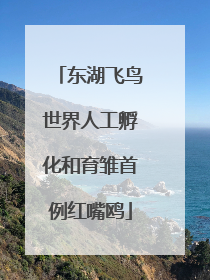 东湖飞鸟世界人工孵化和育雏首例红嘴鸥