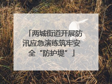 两城街道开展防汛应急演练筑牢安全“防护堤”