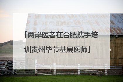 两岸医者在合肥携手培训贵州毕节基层医师