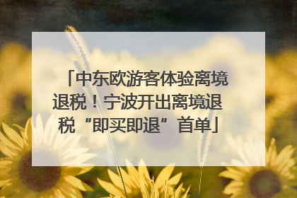 中东欧游客体验离境退税！宁波开出离境退税“即买即退”首单
