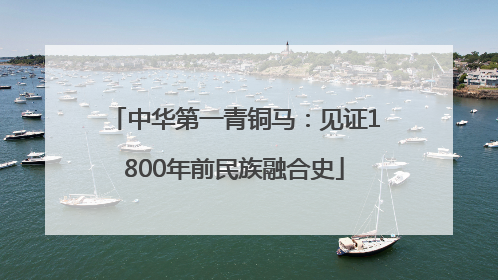 中华第一青铜马：见证1800年前民族融合史