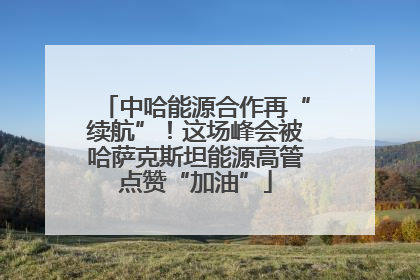中哈能源合作再“续航”！这场峰会被哈萨克斯坦能源高管点赞“加油”