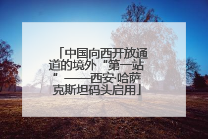 中国向西开放通道的境外“第一站”——西安·哈萨克斯坦码头启用