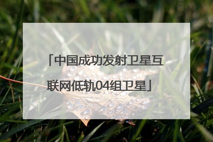 中国成功发射卫星互联网低轨04组卫星
