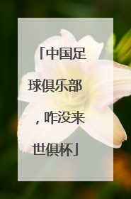 中国足球俱乐部，咋没来世俱杯