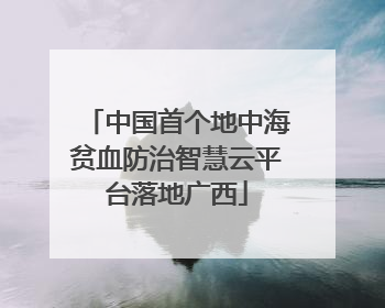 中国首个地中海贫血防治智慧云平台落地广西