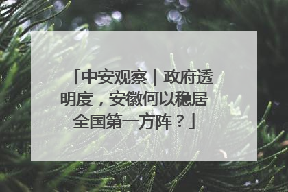 中安观察｜政府透明度，安徽何以稳居全国第一方阵？