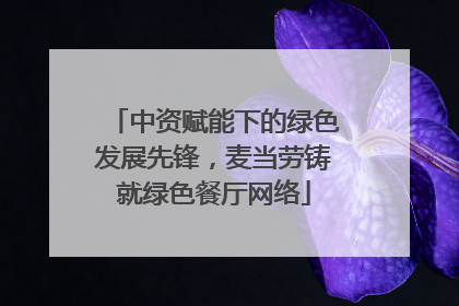 中资赋能下的绿色发展先锋，麦当劳铸就绿色餐厅网络