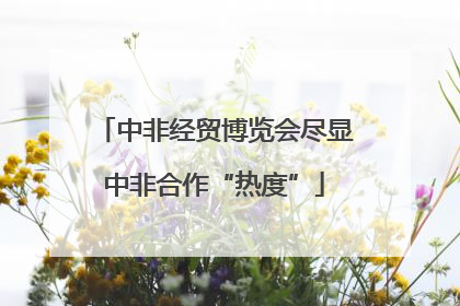 中非经贸博览会尽显中非合作“热度”