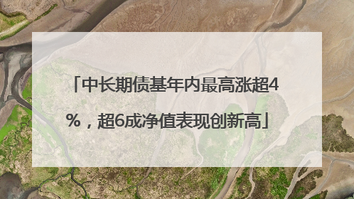 中长期债基年内最高涨超4%，超6成净值表现创新高
