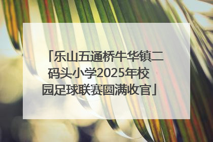 乐山五通桥牛华镇二码头小学2025年校园足球联赛圆满收官