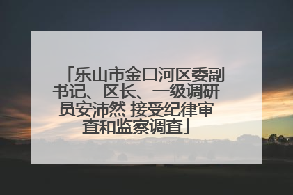 乐山市金口河区委副书记、区长、一级调研员安沛然 接受纪律审查和监察调查