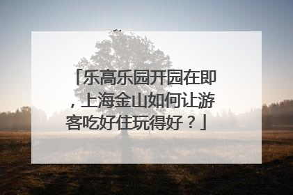 乐高乐园开园在即，上海金山如何让游客吃好住玩得好？