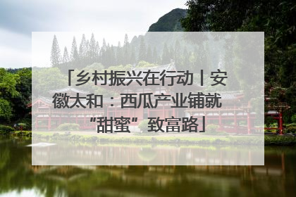 乡村振兴在行动丨安徽太和：西瓜产业铺就“甜蜜”致富路