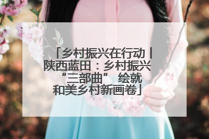 乡村振兴在行动丨陕西蓝田：乡村振兴 “三部曲” 绘就和美乡村新画卷