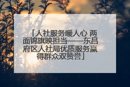 人社服务暖人心 两面锦旗映担当——东昌府区人社局优质服务赢得群众双赞誉