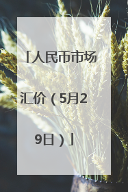 人民币市场汇价（5月29日）