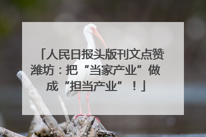 人民日报头版刊文点赞潍坊：把“当家产业”做成“担当产业”！