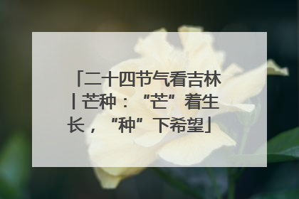 二十四节气看吉林丨芒种：“芒”着生长，“种”下希望