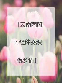 云南西盟：经纬交织佤乡情