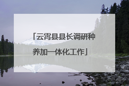 云霄县县长调研种养加一体化工作