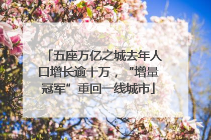 五座万亿之城去年人口增长逾十万，“增量冠军”重回一线城市