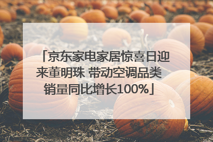京东家电家居惊喜日迎来董明珠 带动空调品类销量同比增长100%