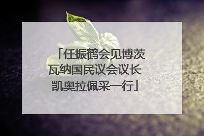 任振鹤会见博茨瓦纳国民议会议长凯奥拉佩采一行