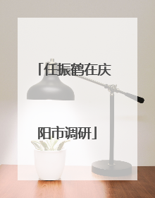 任振鹤在庆阳市调研