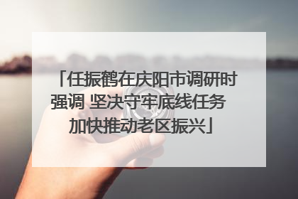 任振鹤在庆阳市调研时强调 坚决守牢底线任务 加快推动老区振兴