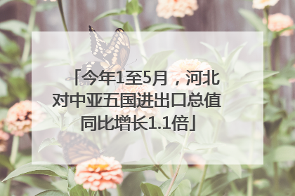 今年1至5月，河北对中亚五国进出口总值同比增长1.1倍