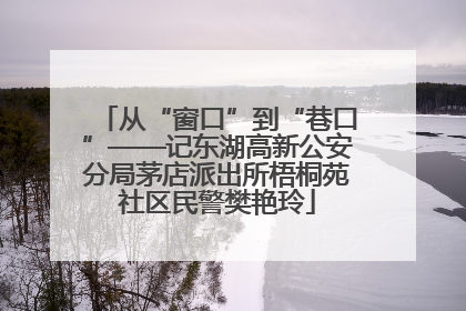 从“窗口”到“巷口”——记东湖高新公安分局茅店派出所梧桐苑社区民警樊艳玲
