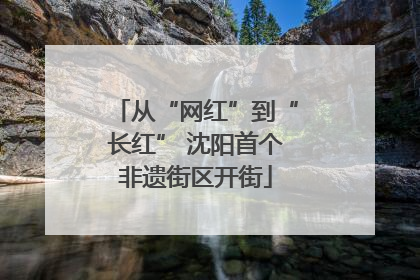 从“网红”到“长红” 沈阳首个非遗街区开街