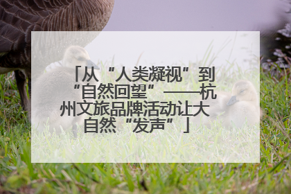 从“人类凝视”到“自然回望”——杭州文旅品牌活动让大自然“发声”