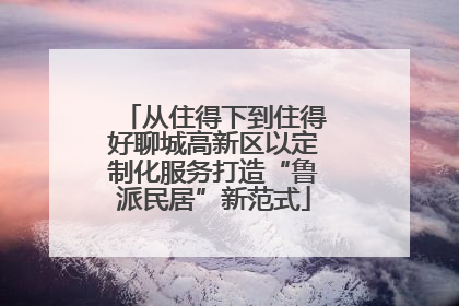 从住得下到住得好聊城高新区以定制化服务打造“鲁派民居”新范式