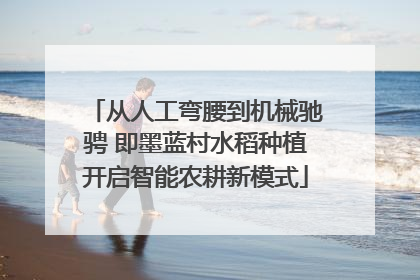 从人工弯腰到机械驰骋 即墨蓝村水稻种植开启智能农耕新模式