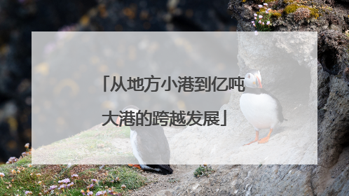 从地方小港到亿吨大港的跨越发展