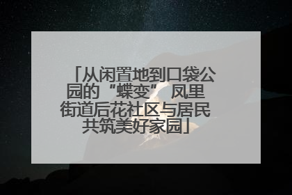 从闲置地到口袋公园的“蝶变” 凤里街道后花社区与居民共筑美好家园
