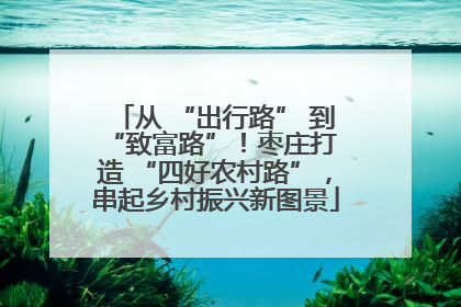 从 “出行路” 到 “致富路”！枣庄打造 “四好农村路”，串起乡村振兴新图景