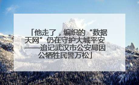 他走了，编织的“数据天网”仍在守护大城平安——追记武汉市公安局因公牺牲民警万松