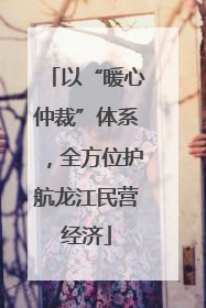 以“暖心仲裁”体系，全方位护航龙江民营经济