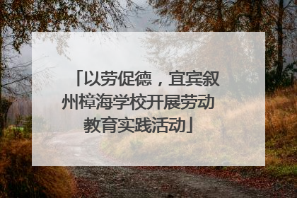 以劳促德，宜宾叙州樟海学校开展劳动教育实践活动