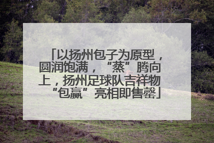 以扬州包子为原型，圆润饱满，“蒸”腾向上，扬州足球队吉祥物“包赢”亮相即售罄